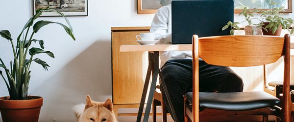 Zu sehen ist ein Mann, der von zuhause aus arbeitet. Er könnte bald den Anspruch auf Home Office nutzen. Bild: Pexels/Zen Chung