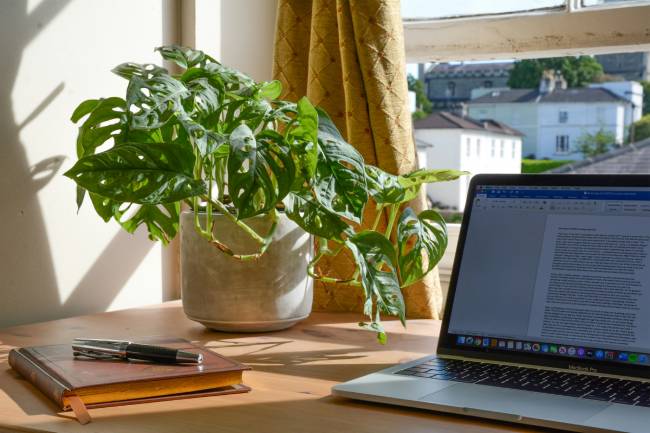 Zu sehen ist ein MacBook auf einem Schreibtisch auf dem Word aufgerufen ist. Viele Nutzer fragen sich aktuell: Wie lange kann man Office 2019 noch nutzen? Bild: Unsplash/Mikey Harris