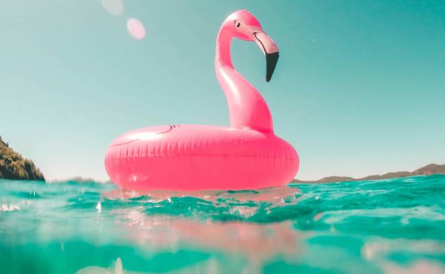 Zu sehen ist ein Flamingo im Meer der Urlaub und Brückentage 2026 Symbolisieren soll. Bild: Unsplash/Vicko Mozara