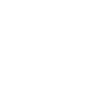 IT-SERVICE.NETWORK Icon