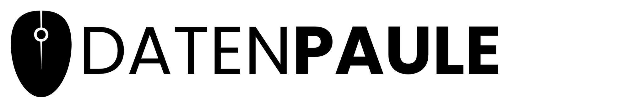 Martin Süße Datenpaule