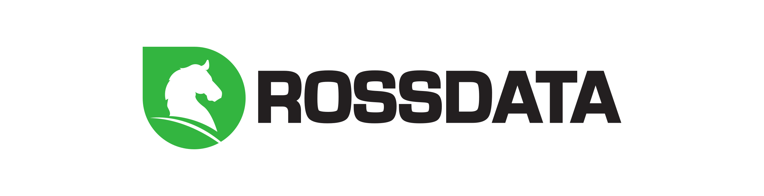 DRI RossData GmbH