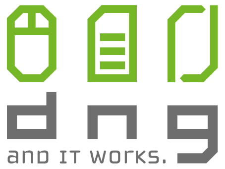 dng IT GmbH & Co. KG